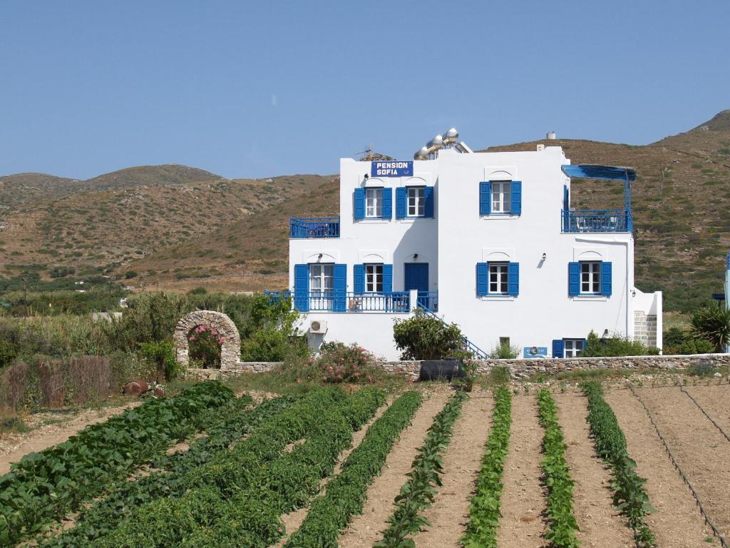 Aparthotel Pension Sofia Amorgos à Katápola Extérieur photo